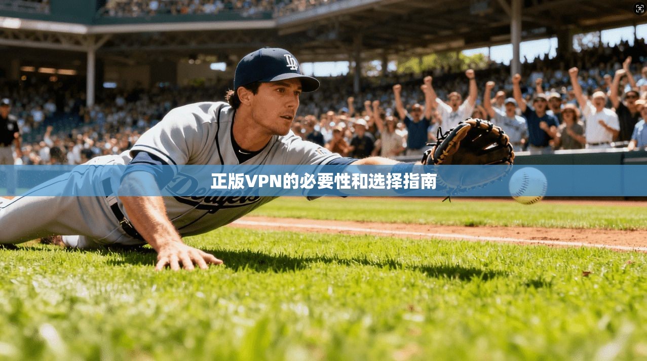 正版VPN的必要性和选择指南 第1张 正版VPN的必要性和选择指南 第1张