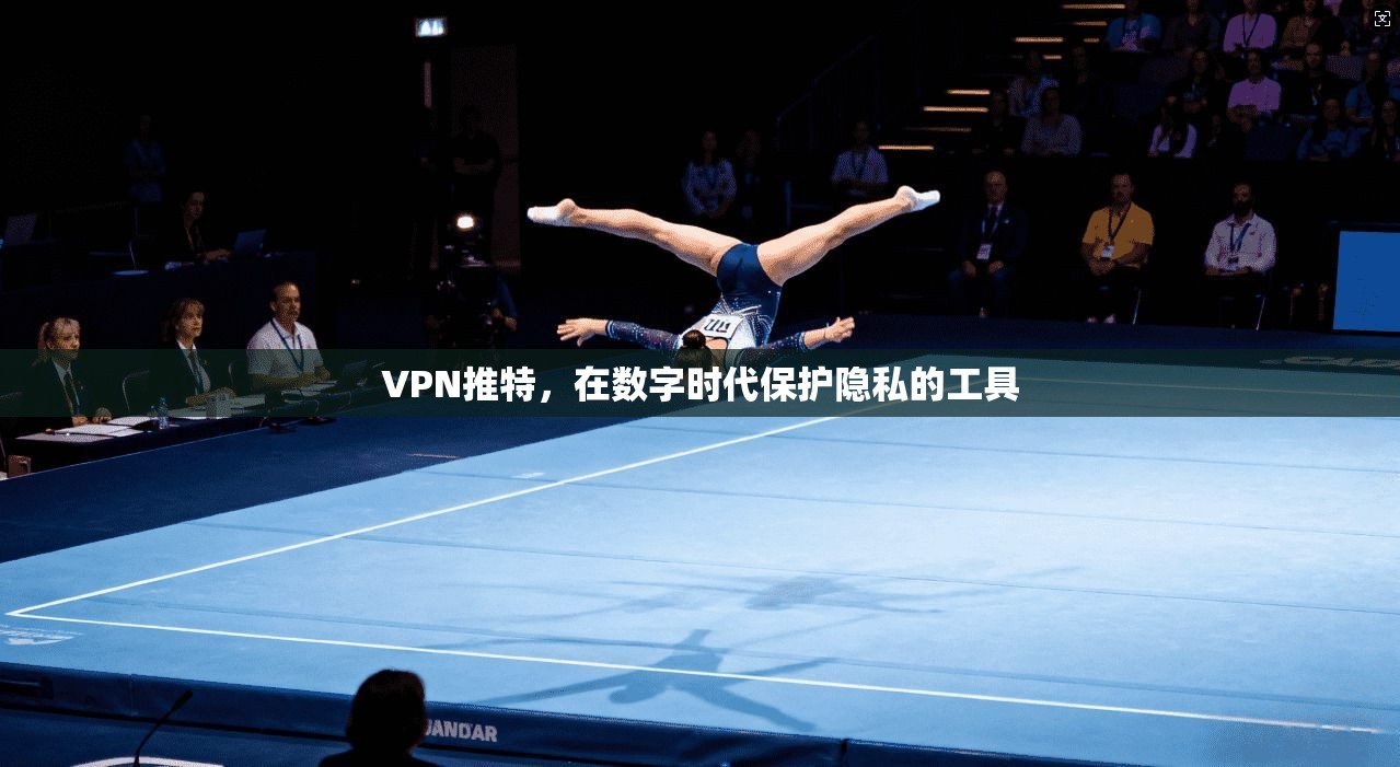 VPN推特,在数字时代保护隐私的工具 第1张 VPN推特,在数字时代保护隐私的工具 第1张