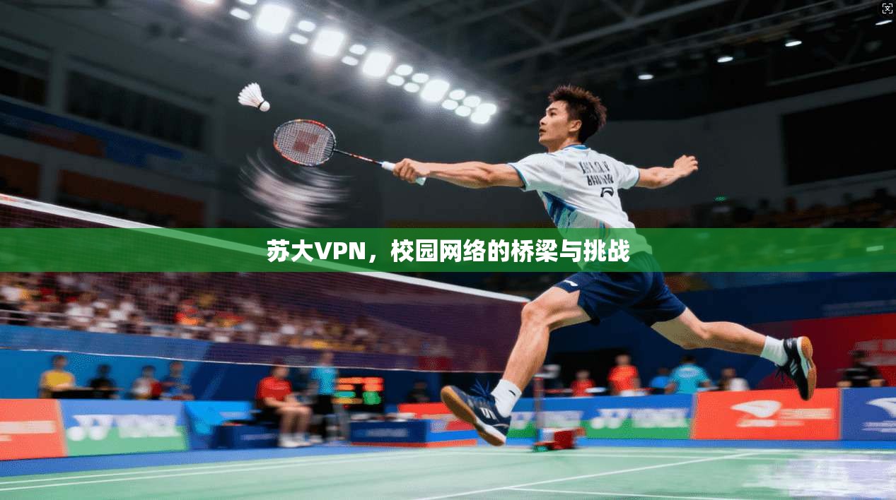 苏大VPN，校园网络的桥梁与挑战  第1张