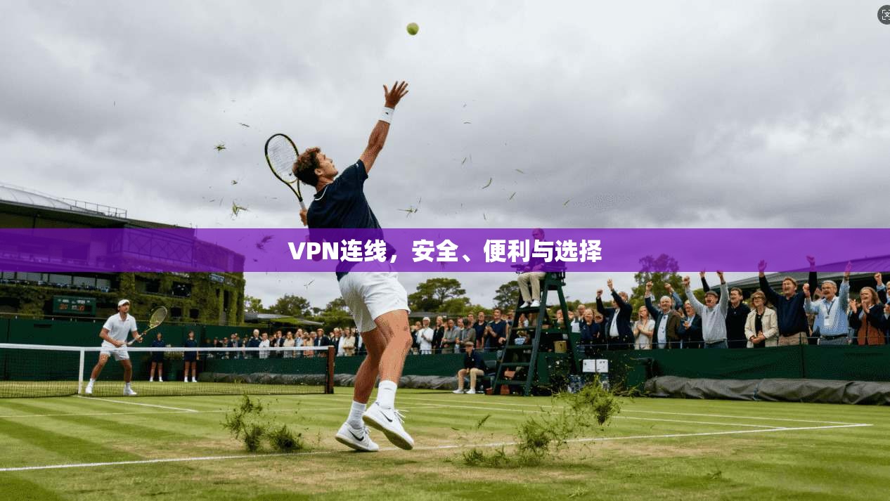 VPN连线，安全、便利与选择  第1张