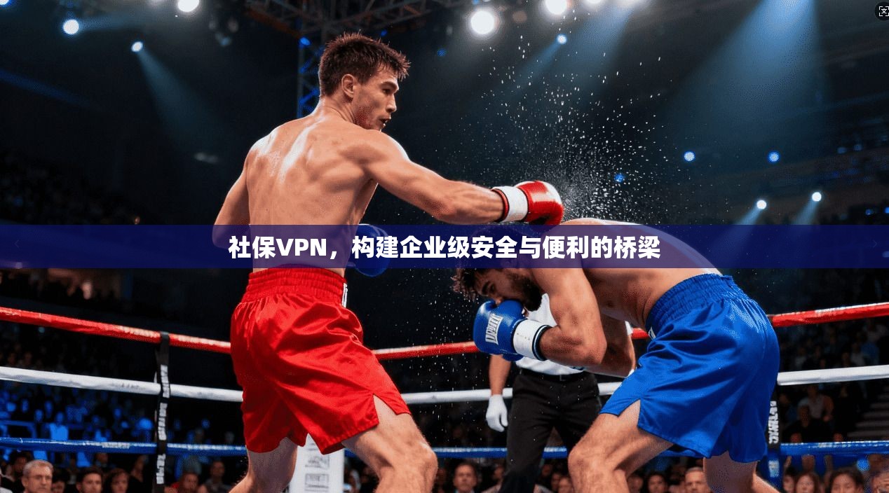 社保VPN，构建企业级安全与便利的桥梁  第1张
