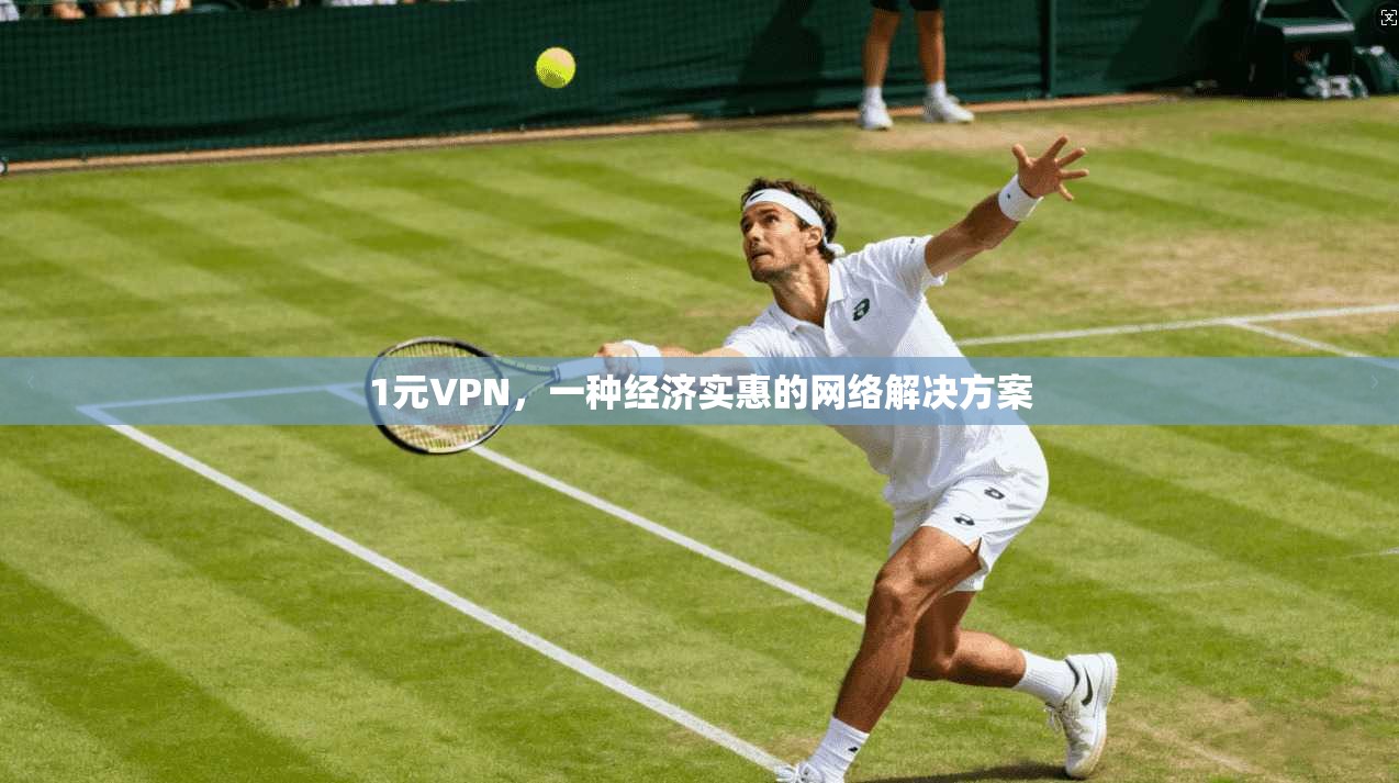 1元VPN，一种经济实惠的网络解决方案  第1张