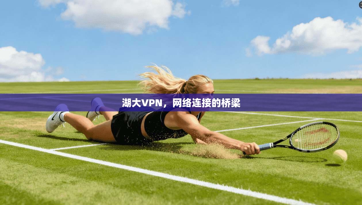 湖大VPN，网络连接的桥梁  第1张