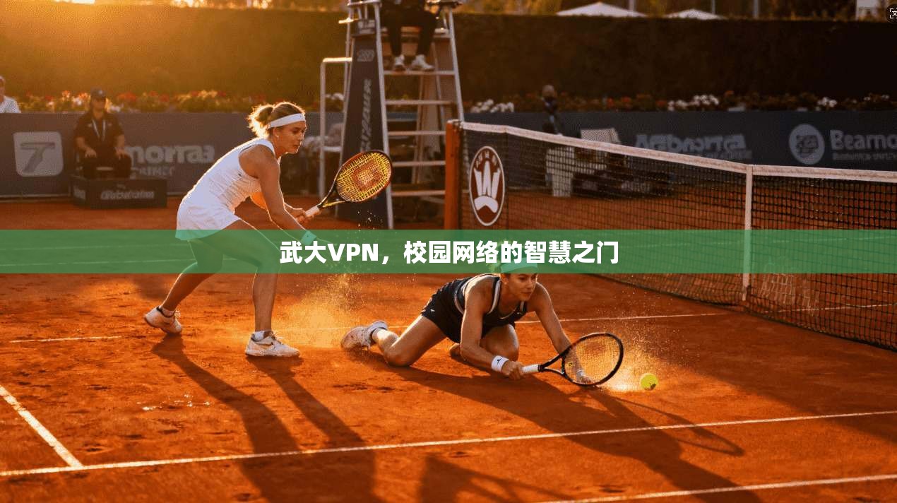 武大VPN，校园网络的智慧之门  第1张