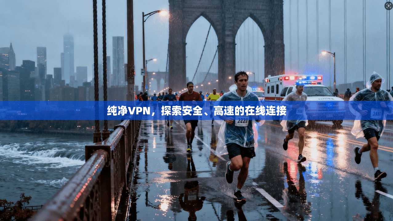 纯净VPN，探索安全、高速的在线连接  第1张