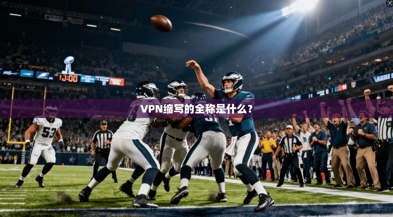 VPN缩写的全称是什么？  第1张