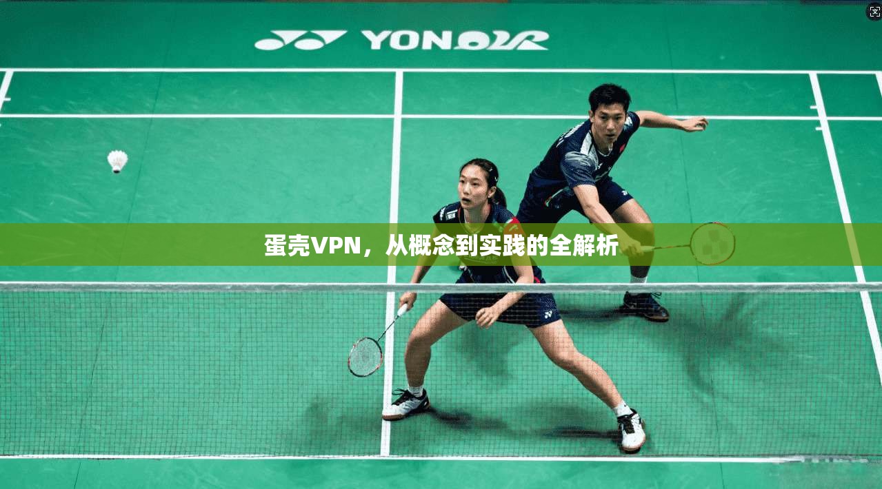 蛋壳VPN，从概念到实践的全解析  第1张
