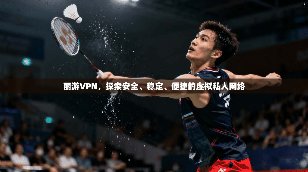 丽游VPN，探索安全、稳定、便捷的虚拟私人网络  第1张