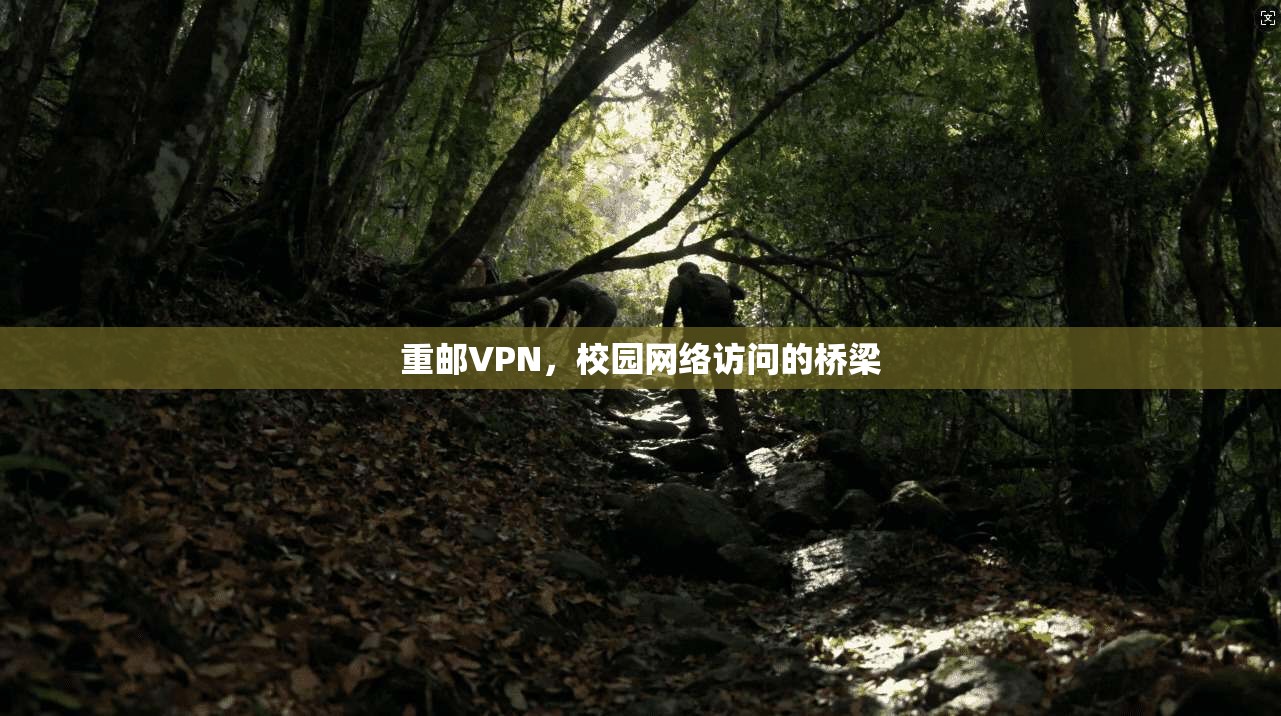 重邮VPN，校园网络访问的桥梁  第1张