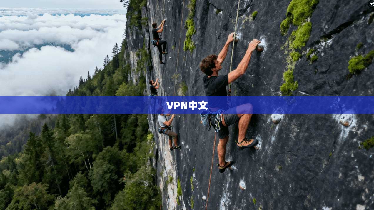 VPN中文  第1张