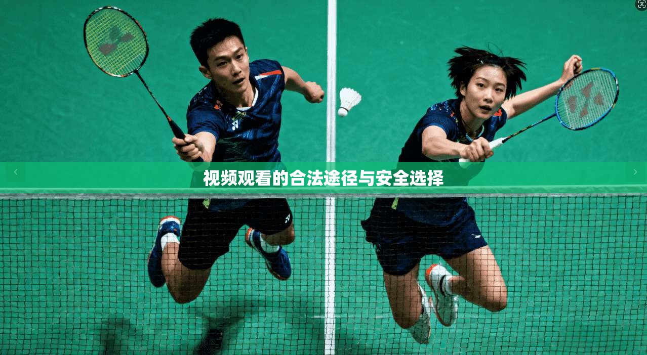 视频观看的合法途径与安全选择  第1张