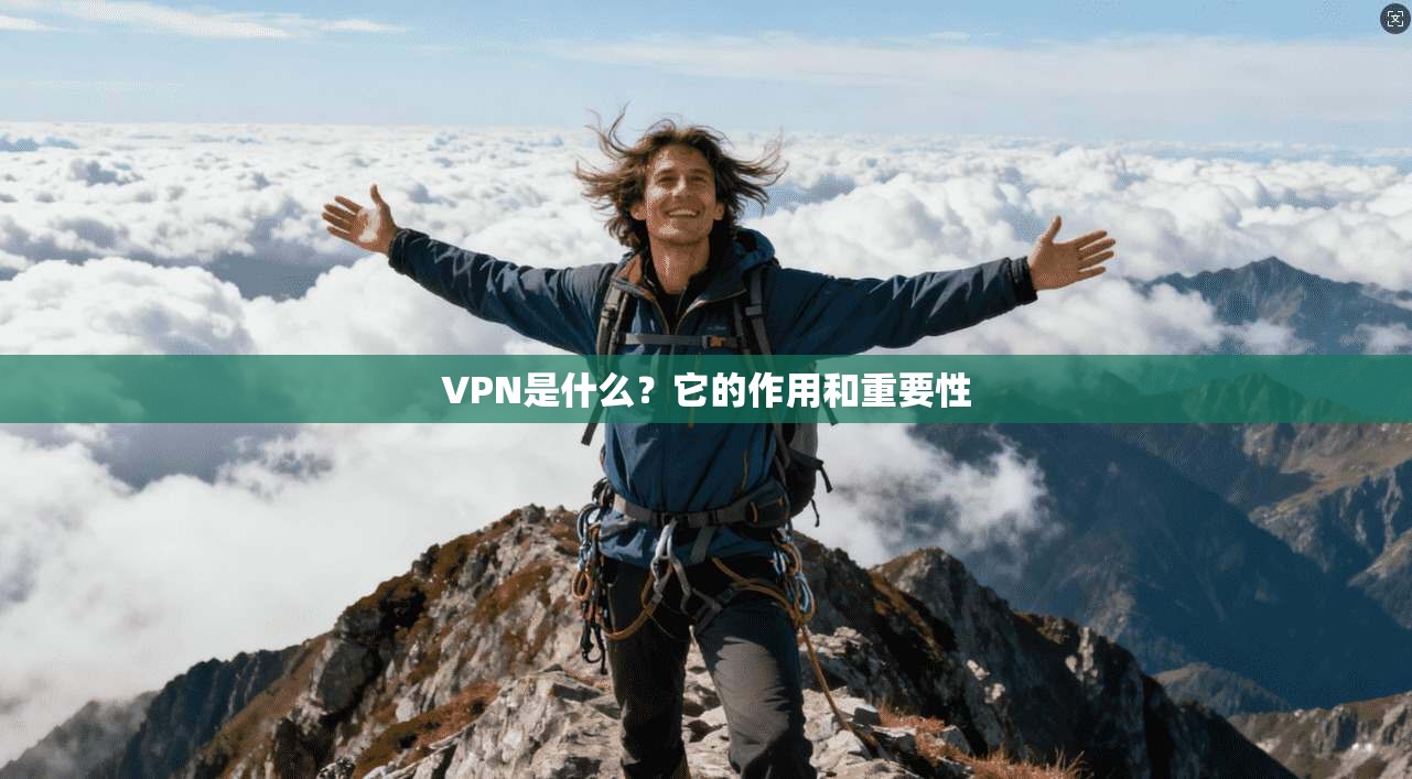 VPN是什么？它的作用和重要性  第1张