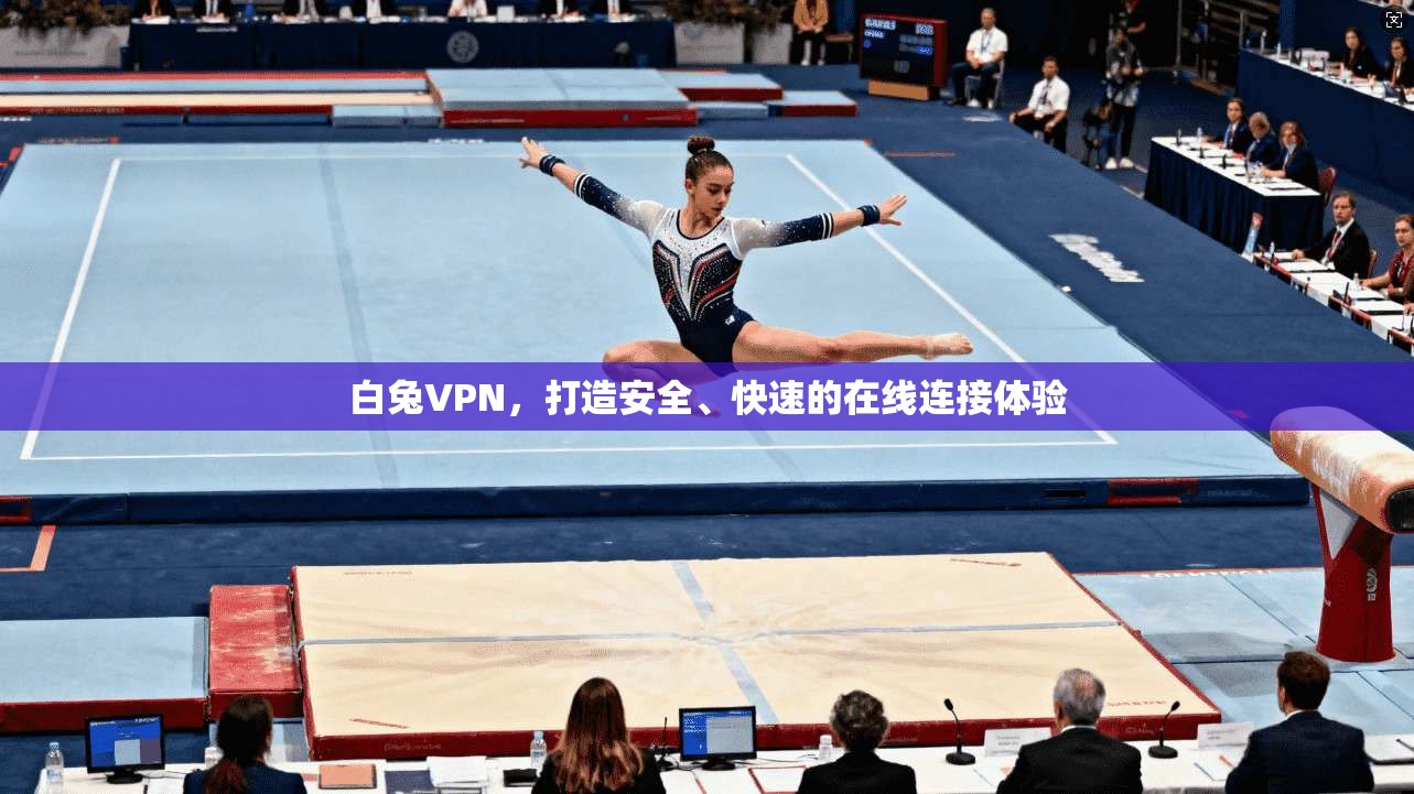 白兔VPN，打造安全、快速的在线连接体验  第1张