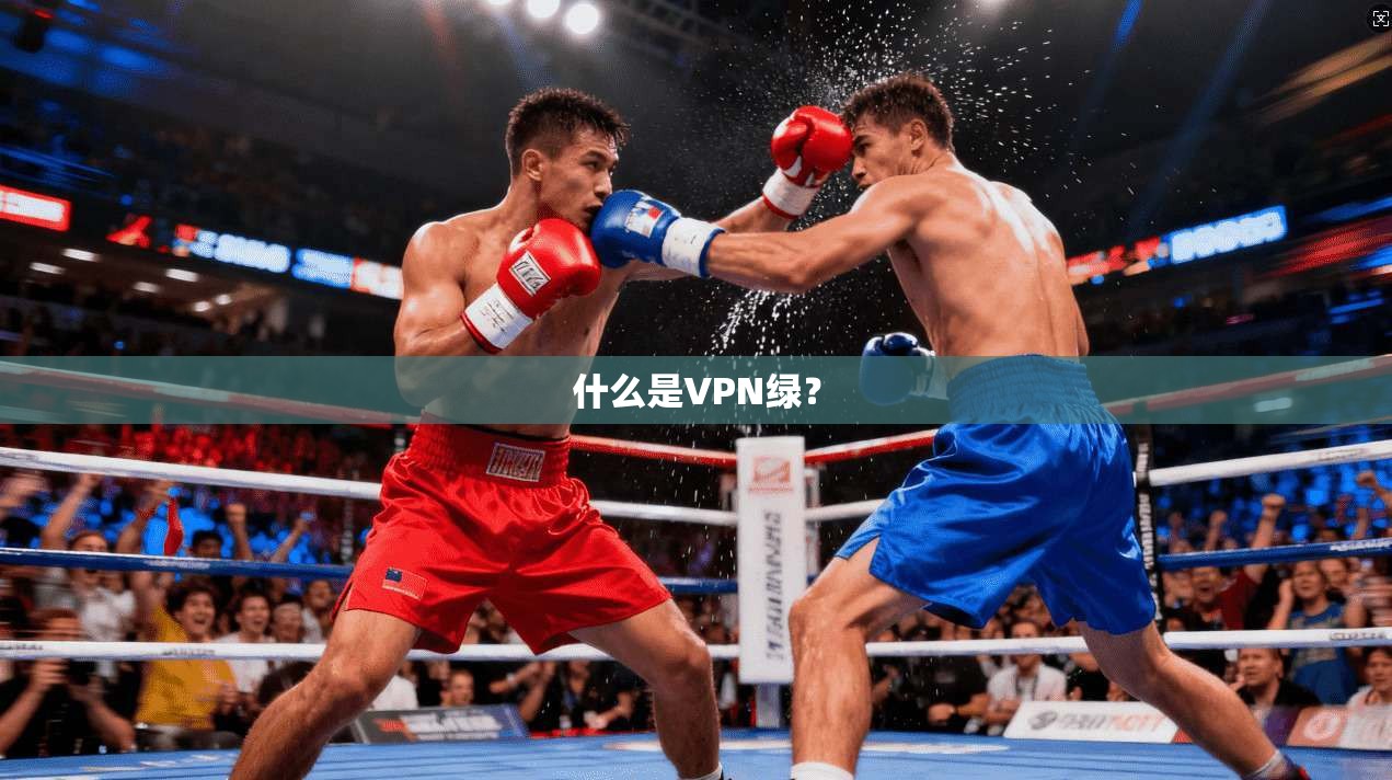 什么是VPN绿？  第1张