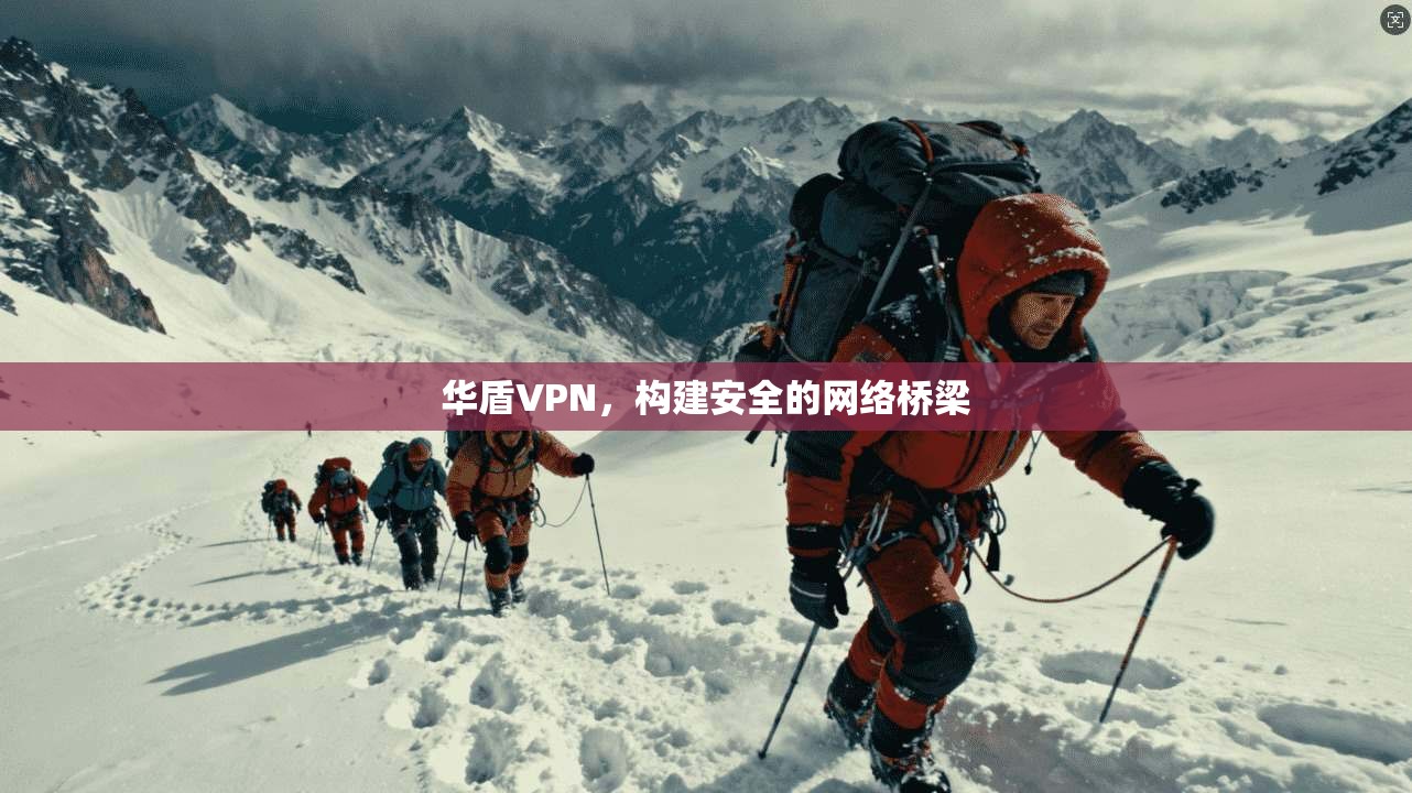 华盾VPN，构建安全的网络桥梁  第1张