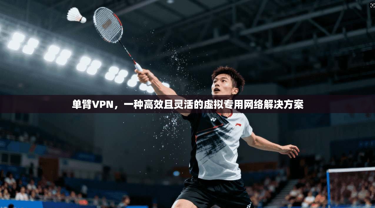单臂VPN，一种高效且灵活的虚拟专用网络解决方案  第1张