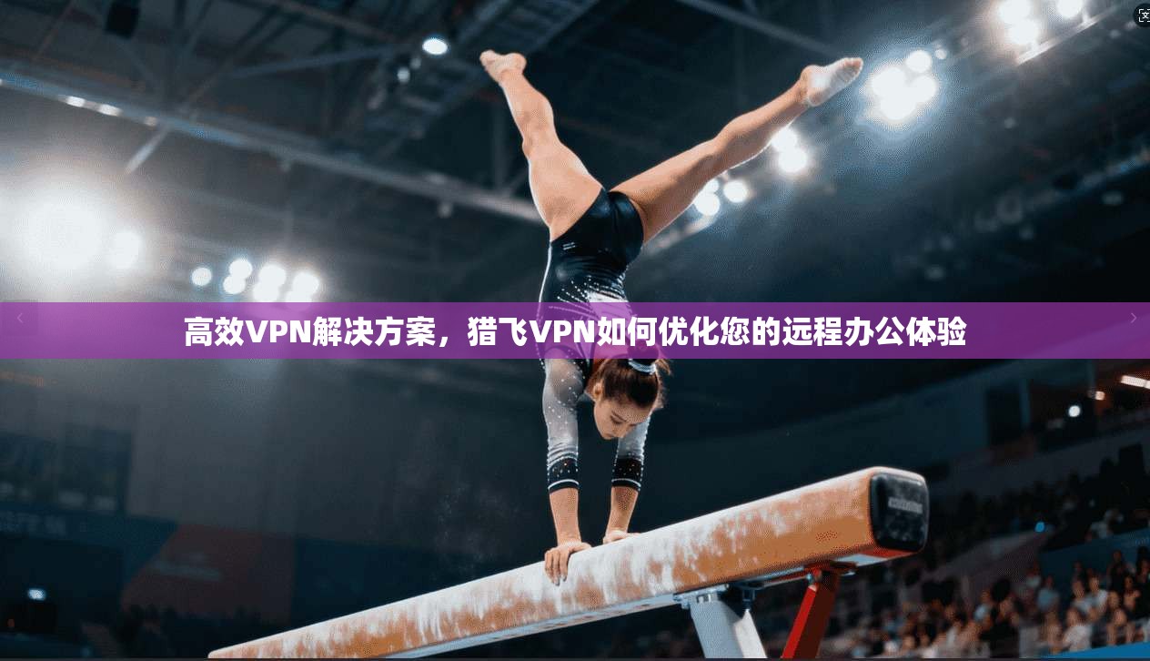高效VPN解决方案，猎飞VPN如何优化您的远程办公体验  第1张