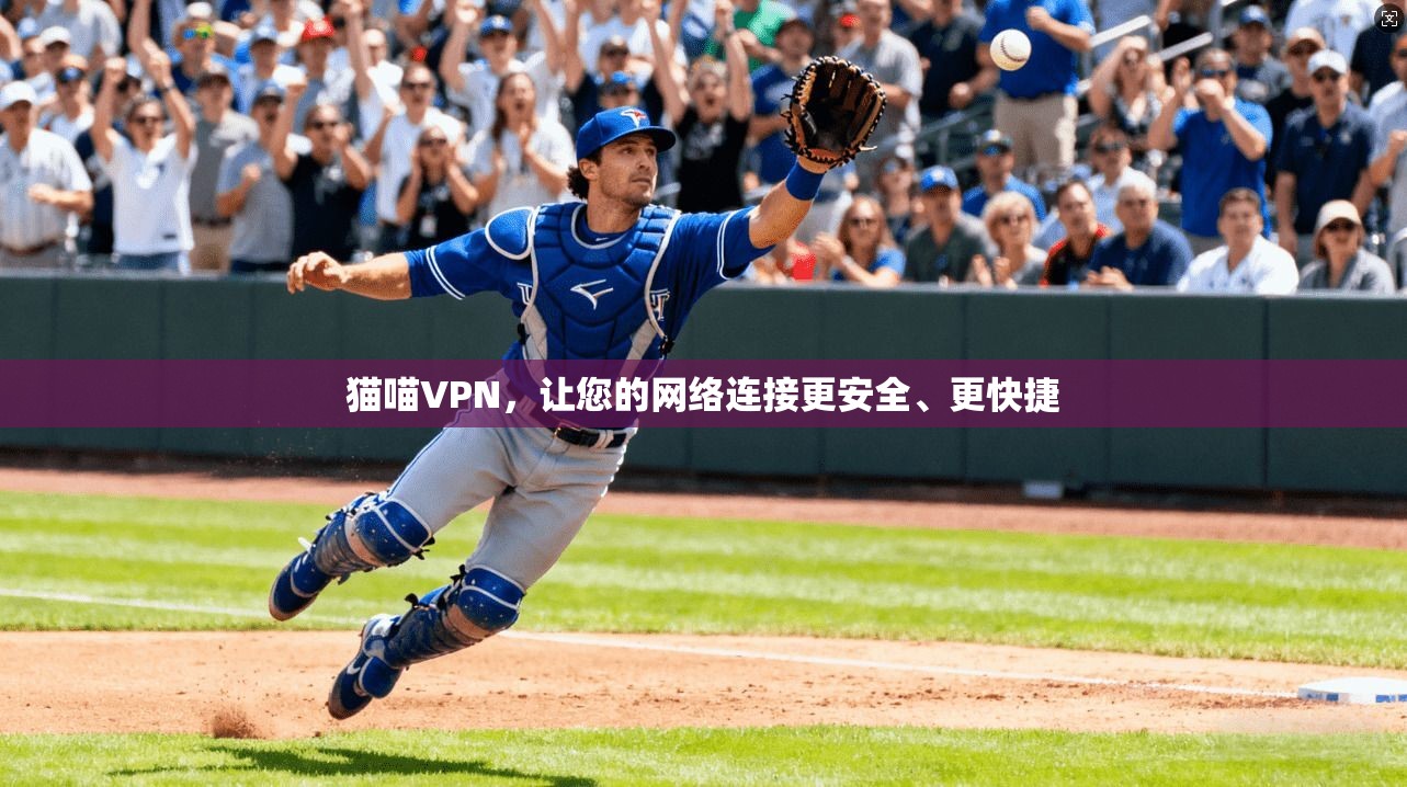 猫喵VPN，让您的网络连接更安全、更快捷  第1张