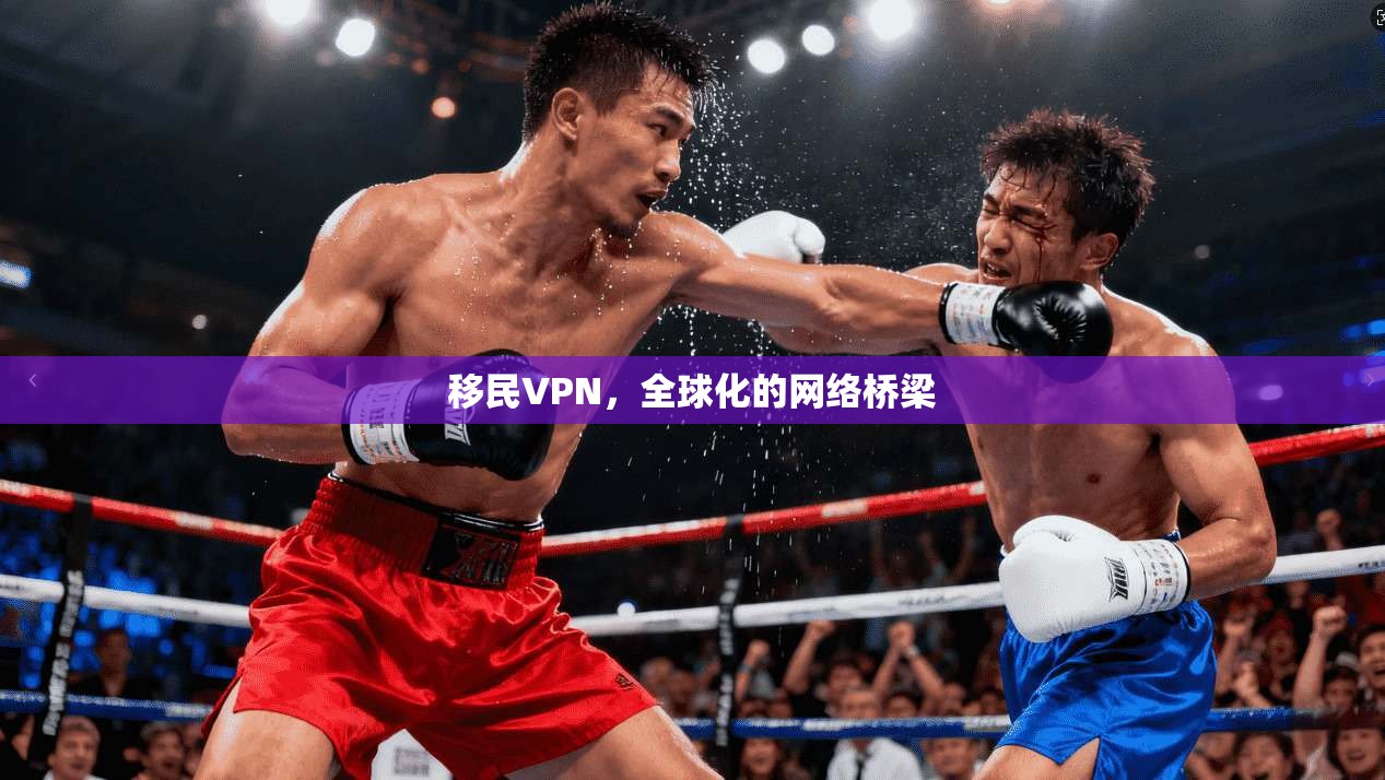 移民VPN，全球化的网络桥梁  第1张