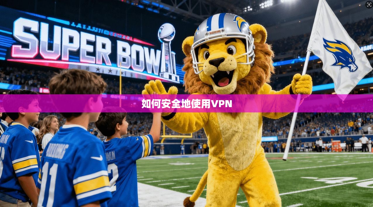 如何安全地使用VPN  第1张