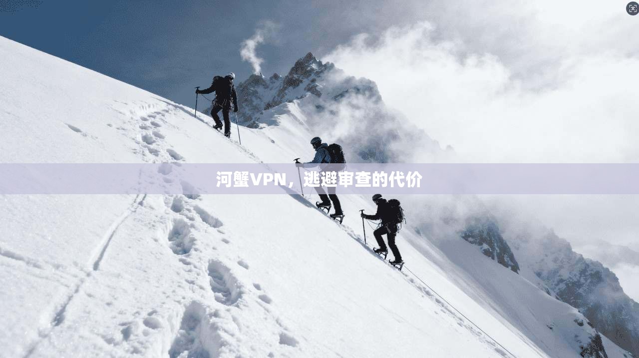 河蟹VPN，逃避审查的代价  第1张