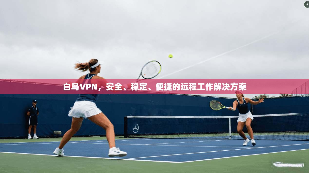 白鸟VPN，安全、稳定、便捷的远程工作解决方案  第1张