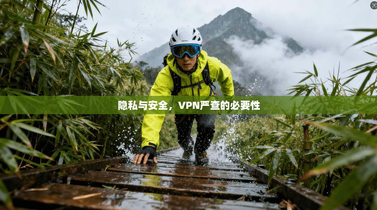 隐私与安全，VPN严查的必要性  第1张