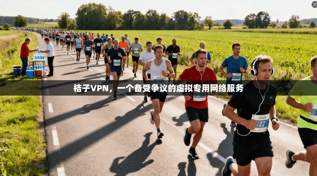 桔子VPN，一个备受争议的虚拟专用网络服务  第1张