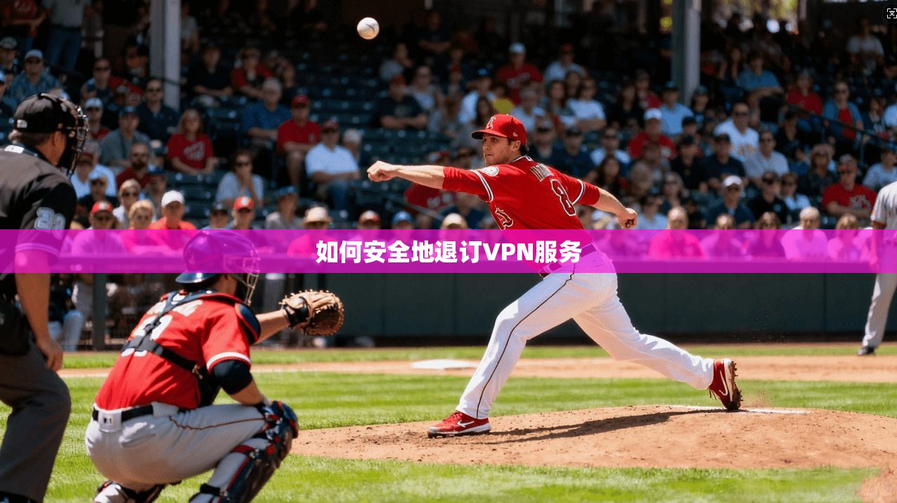 如何安全地退订VPN服务  第1张
