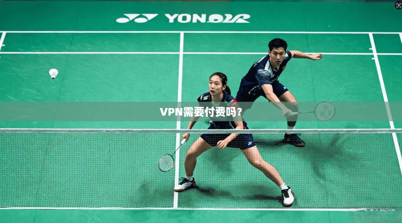 VPN需要付费吗？  第1张