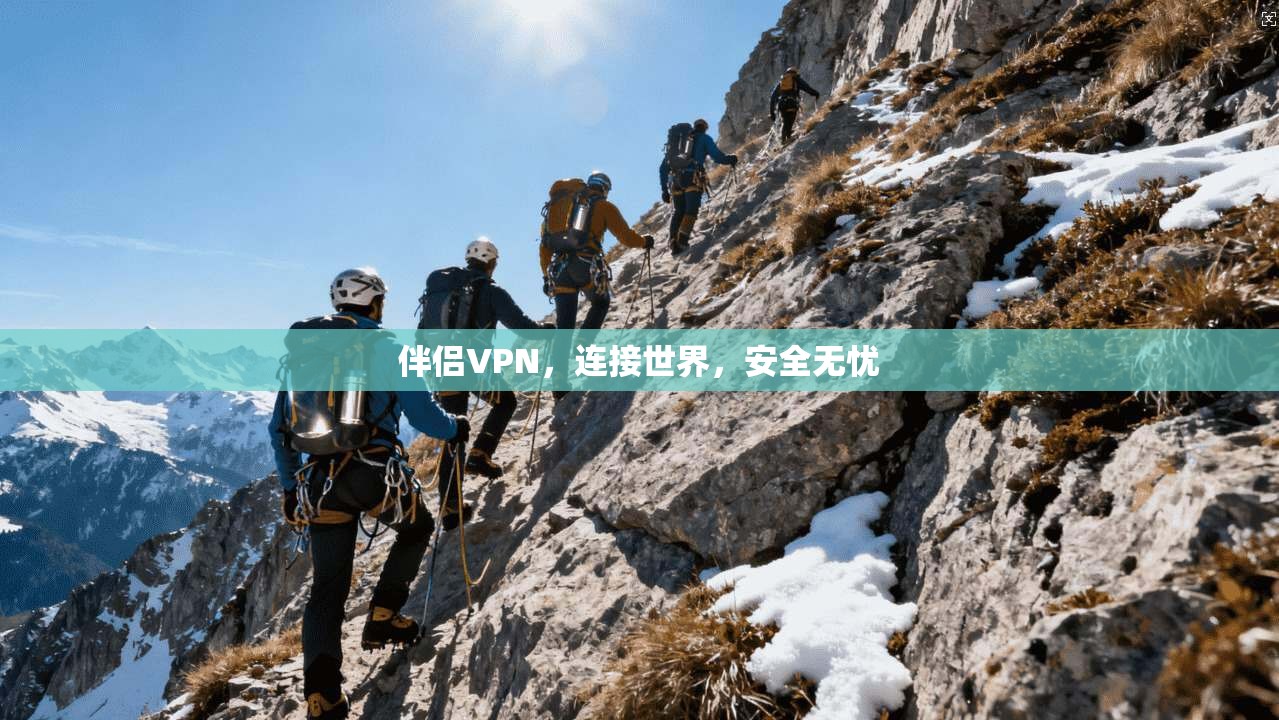 伴侣VPN，连接世界，安全无忧  第1张