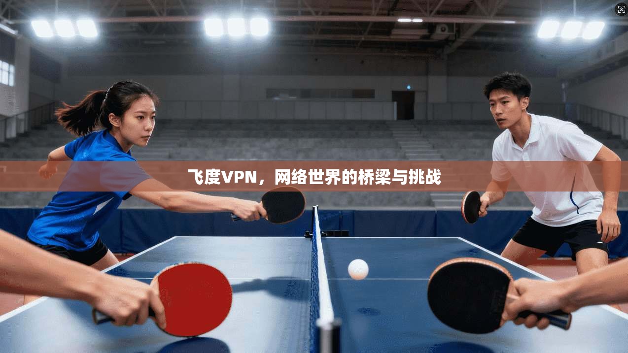 飞度VPN，网络世界的桥梁与挑战  第1张