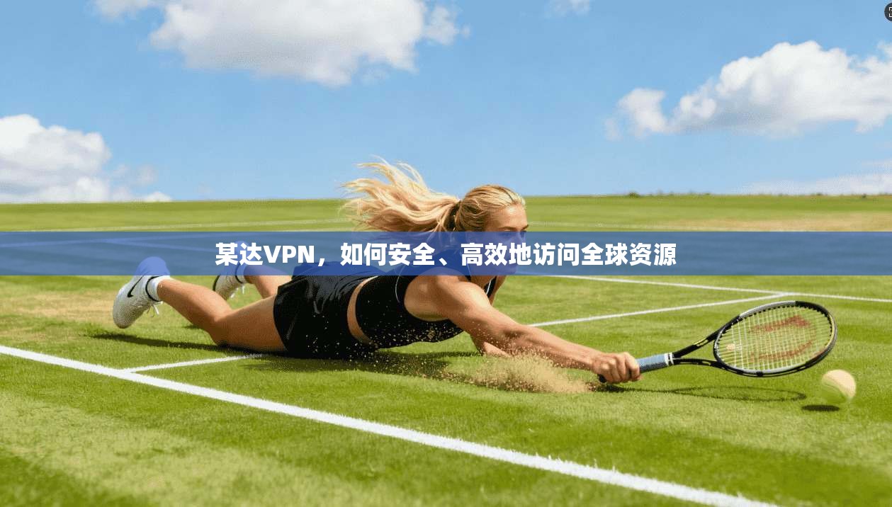 某达VPN，如何安全、高效地访问全球资源  第1张