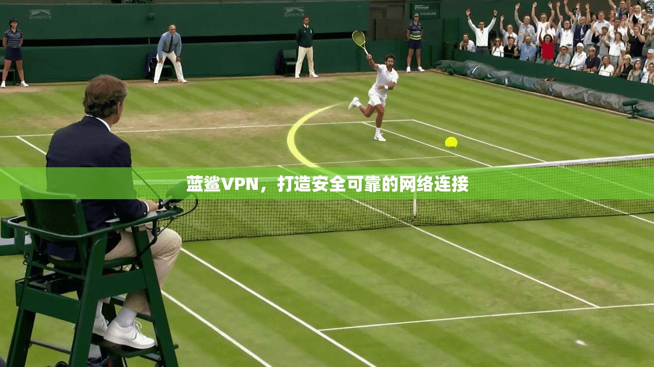 蓝鲨VPN，打造安全可靠的网络连接  第1张