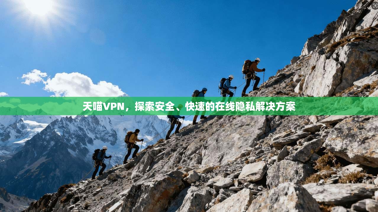 天喵VPN，探索安全、快速的在线隐私解决方案  第1张