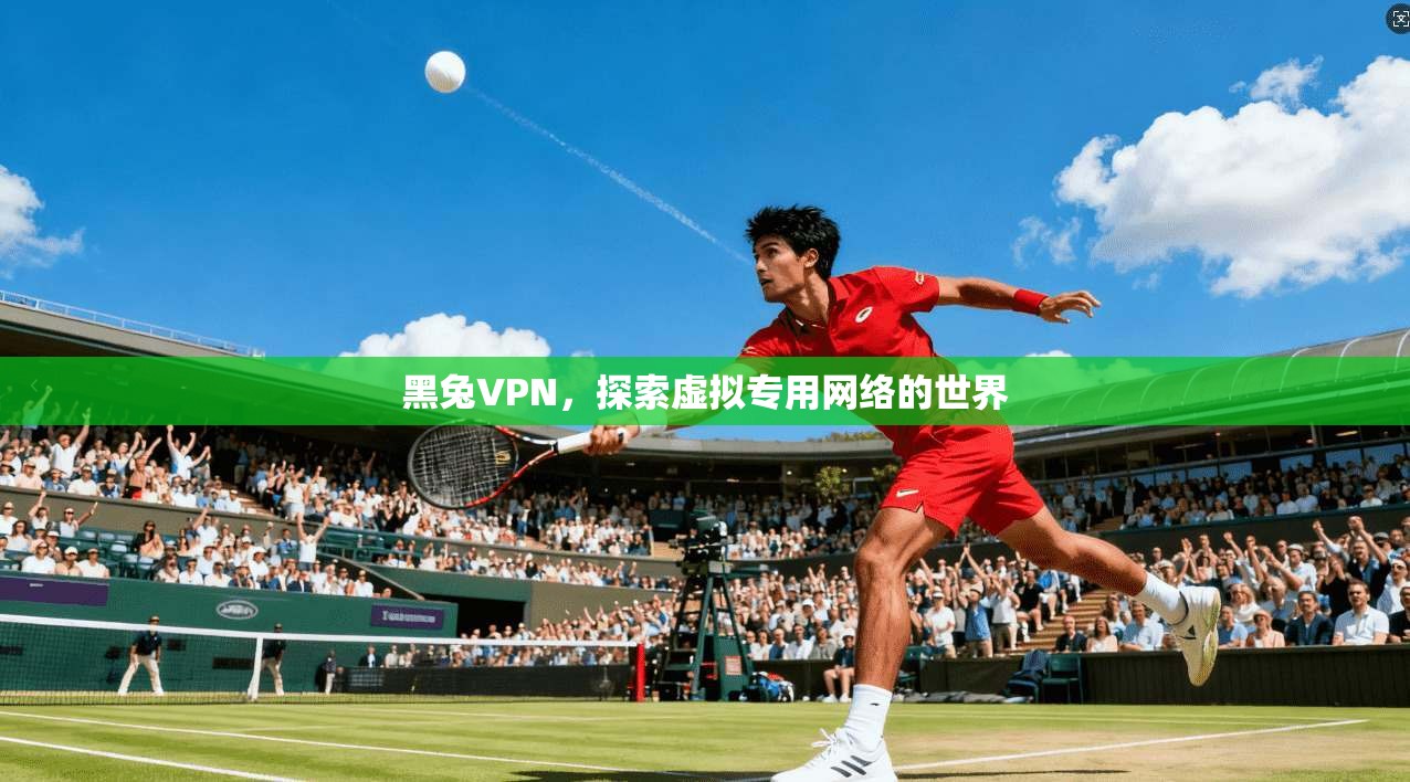 黑兔VPN，探索虚拟专用网络的世界  第1张
