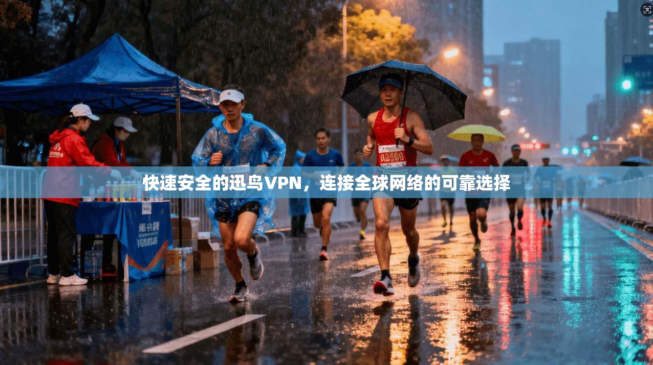 快速安全的迅鸟VPN，连接全球网络的可靠选择  第1张