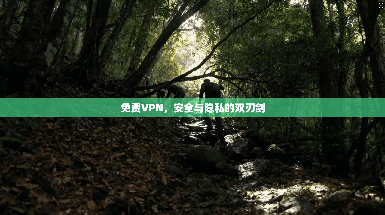 免费VPN，安全与隐私的双刃剑  第1张