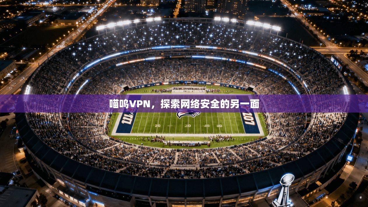 喵呜VPN，探索网络安全的另一面  第1张