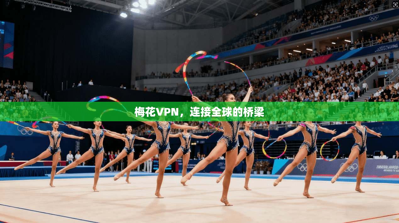 梅花VPN，连接全球的桥梁  第1张