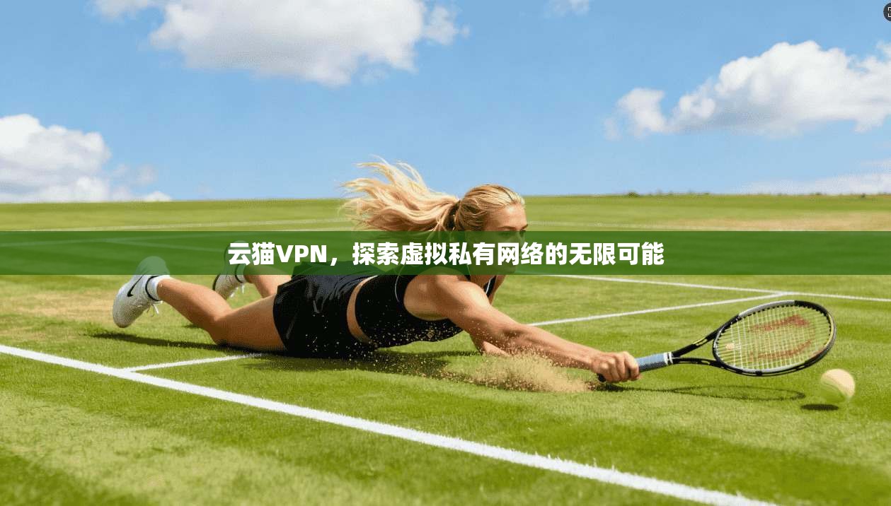 云猫VPN，探索虚拟私有网络的无限可能  第1张