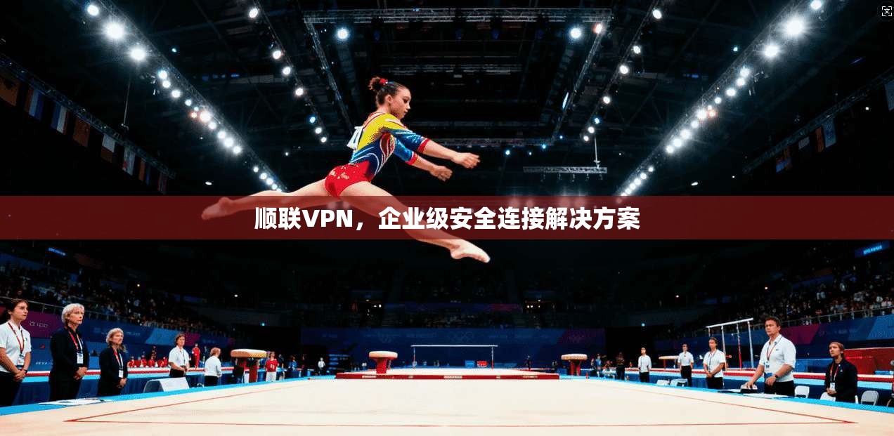 顺联VPN，企业级安全连接解决方案  第1张