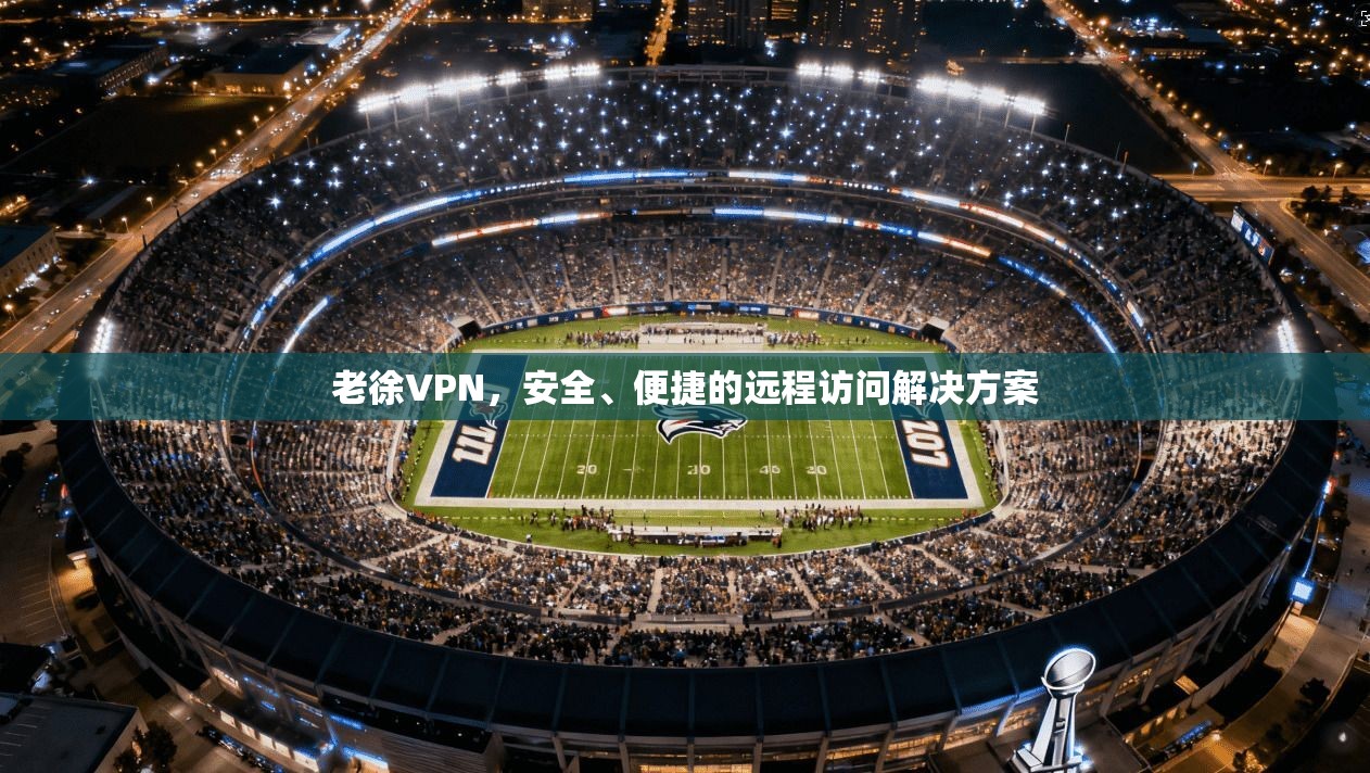老徐VPN，安全、便捷的远程访问解决方案  第1张
