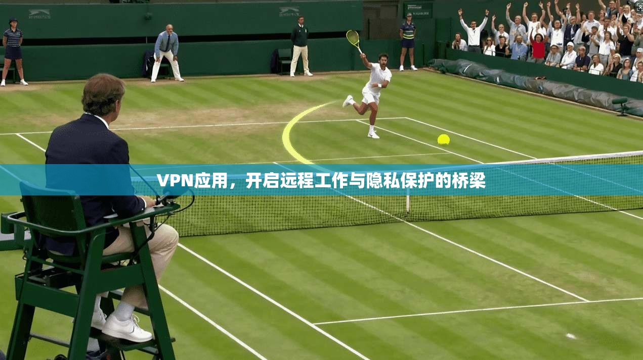 VPN应用，开启远程工作与隐私保护的桥梁  第1张
