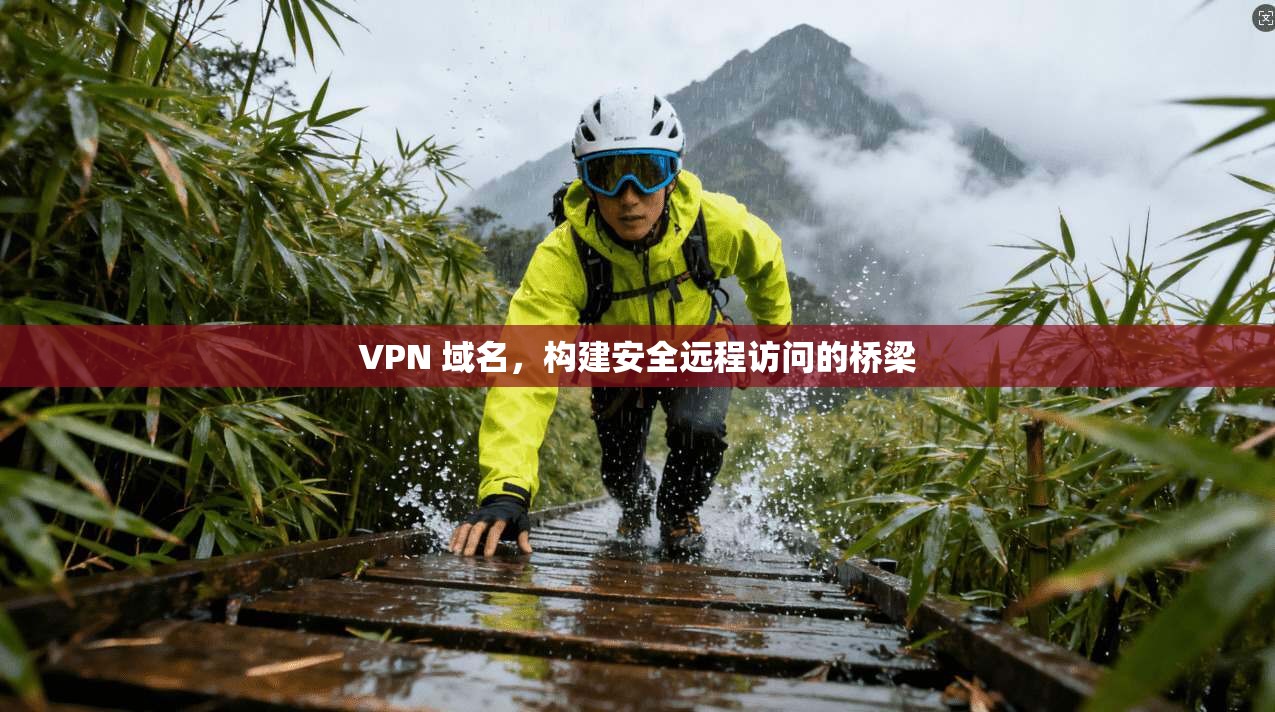 VPN 域名，构建安全远程访问的桥梁  第1张
