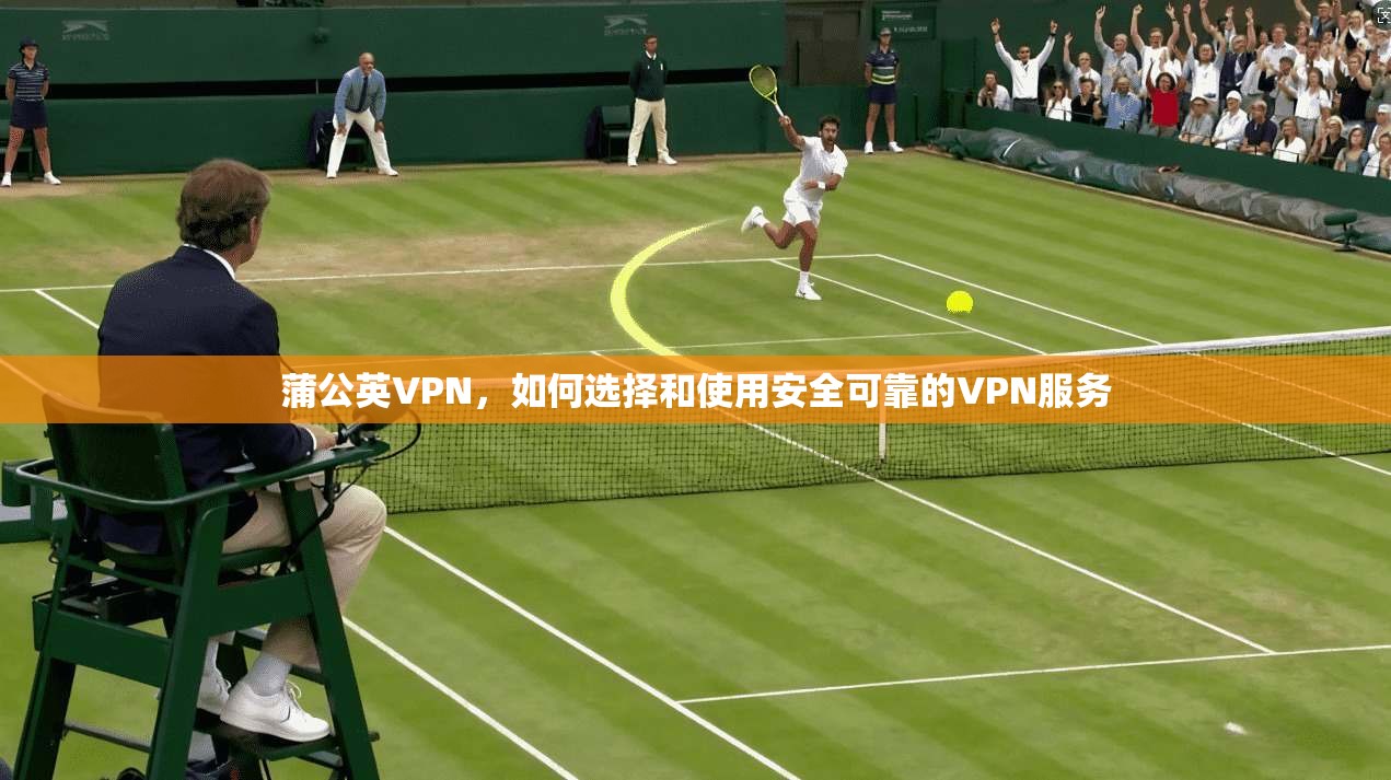 蒲公英VPN，如何选择和使用安全可靠的VPN服务  第1张