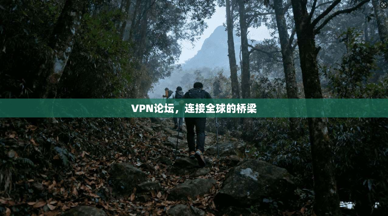 VPN论坛，连接全球的桥梁  第1张