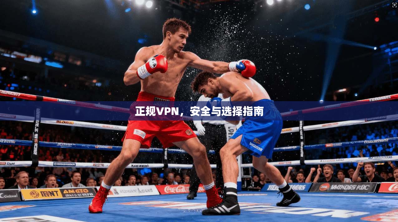 正规VPN,安全与选择指南 第1张 正规VPN,安全与选择指南 第1张