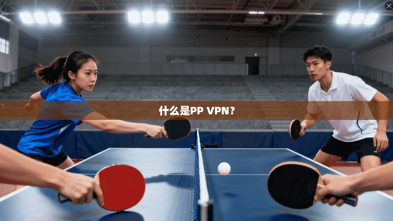 什么是PP VPN？  第1张