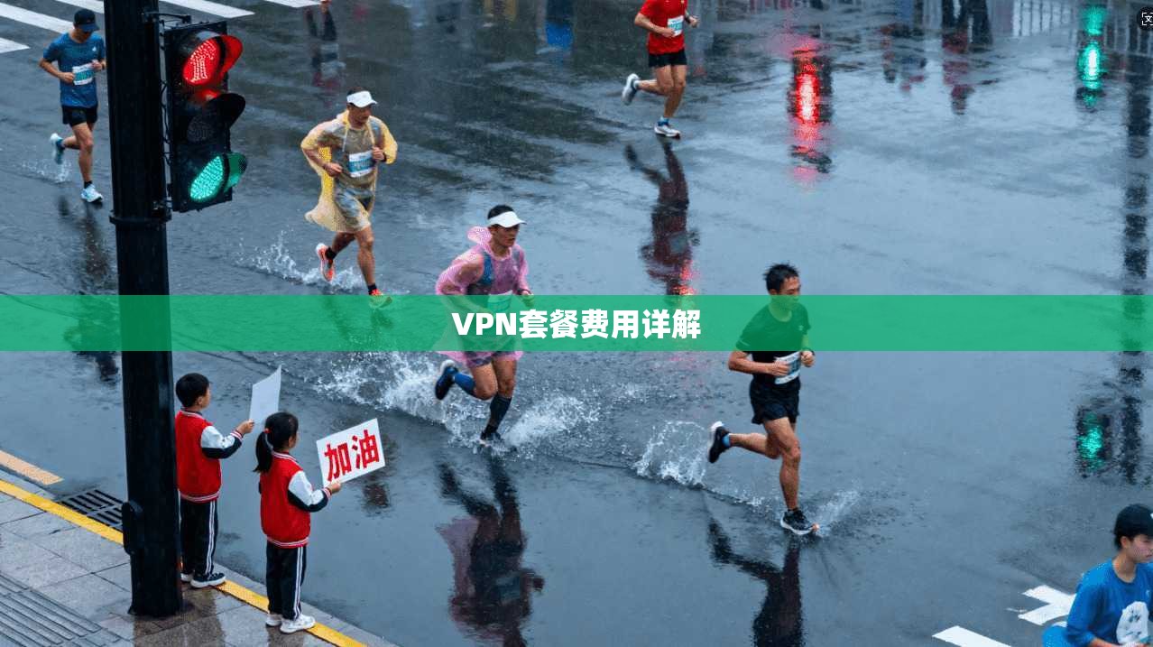 VPN套餐费用详解  第1张